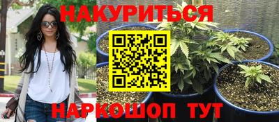 гидра Братск
