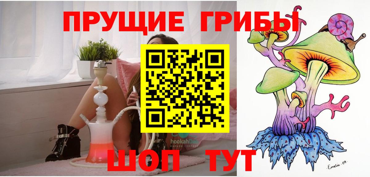 Псилоцибиновые грибы Psilocybe Белорецк
